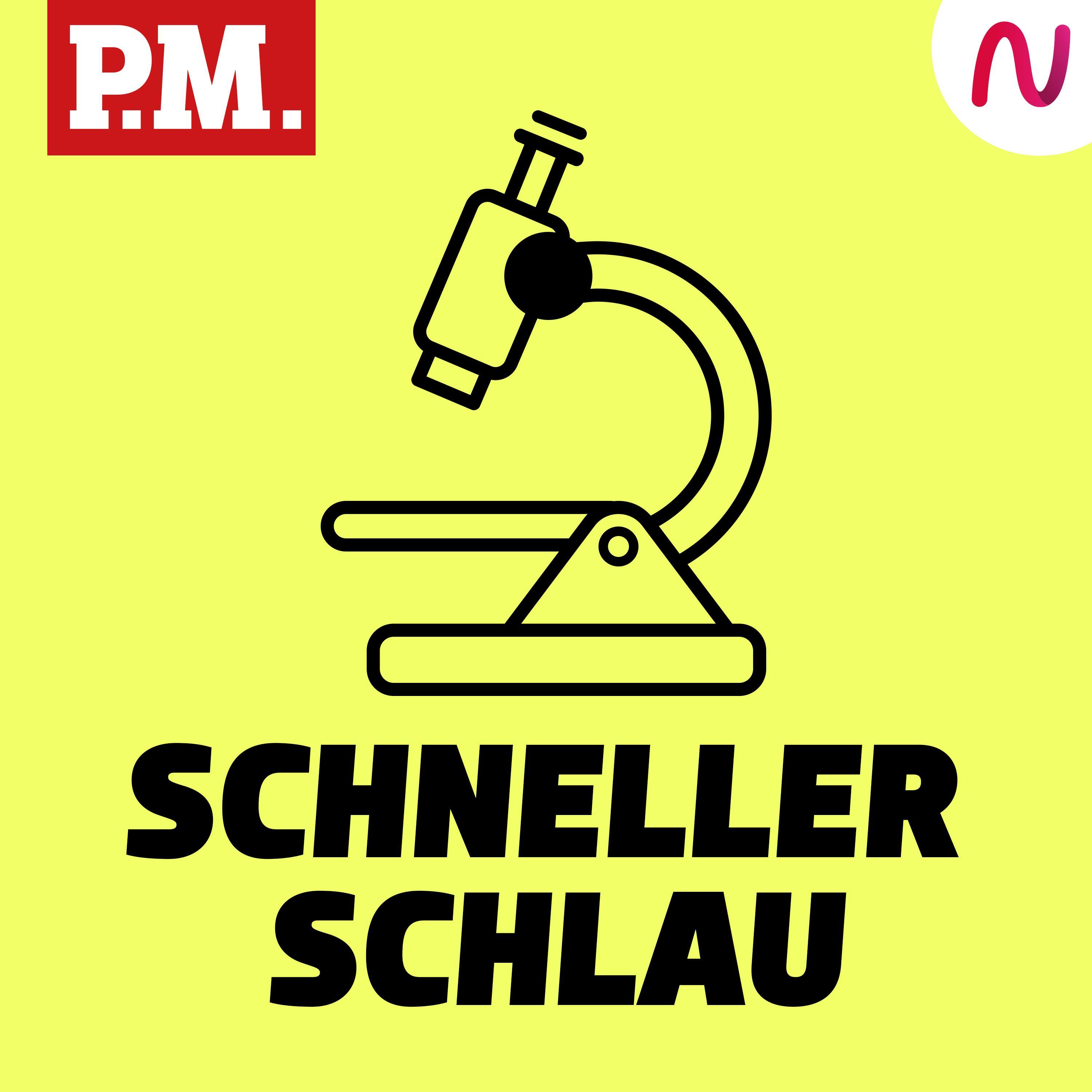 Warum sagt man "Schlitzohr"?